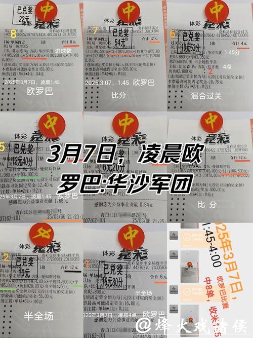 世界杯买球成功案例深度解析
