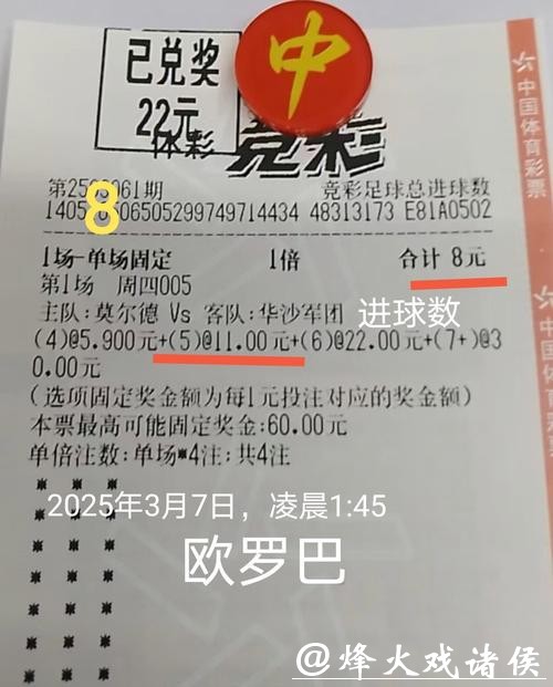 世界杯买球成功案例深度解析